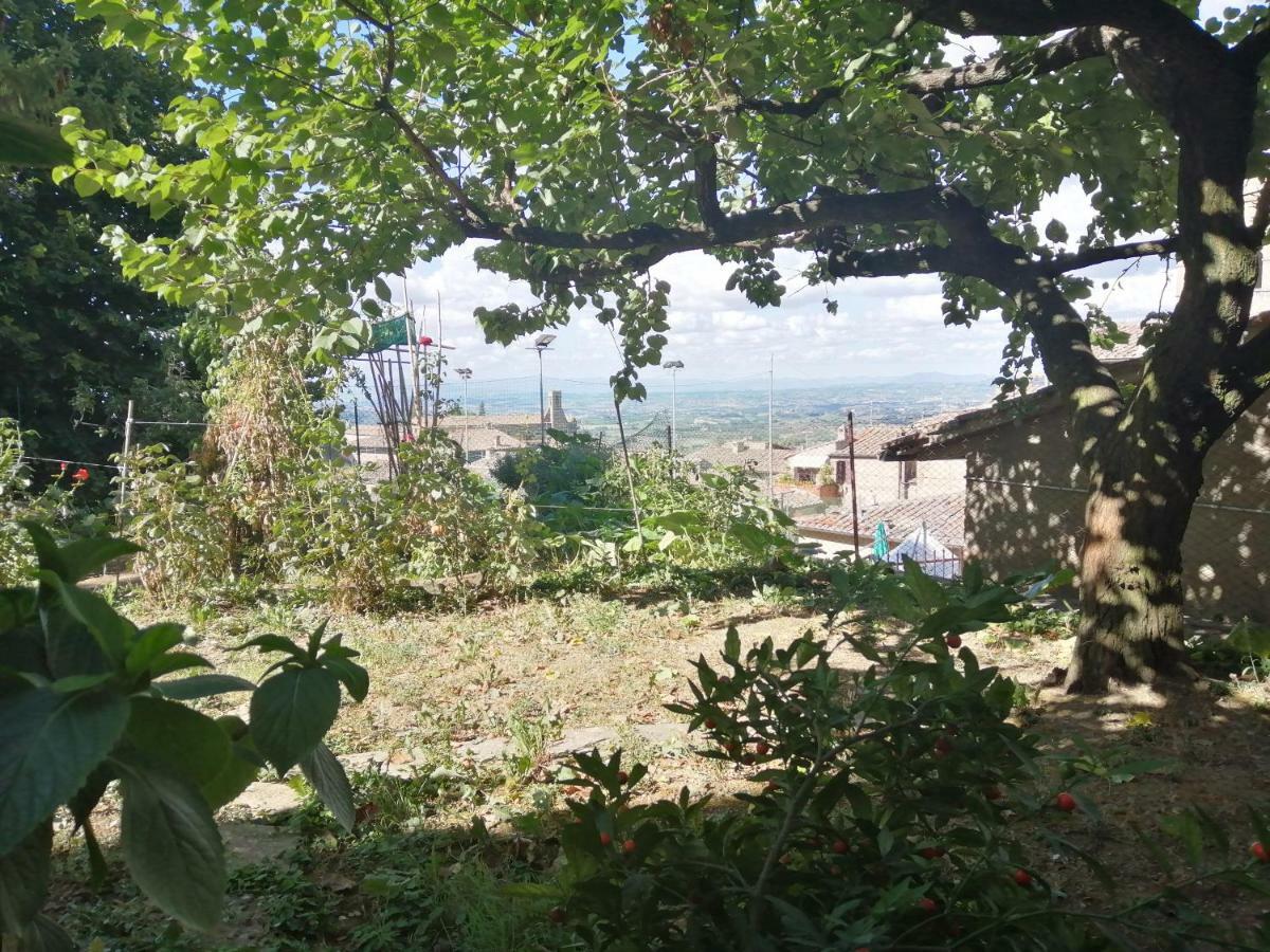 Orto Di Emma Appartement San Gimignano Buitenkant foto