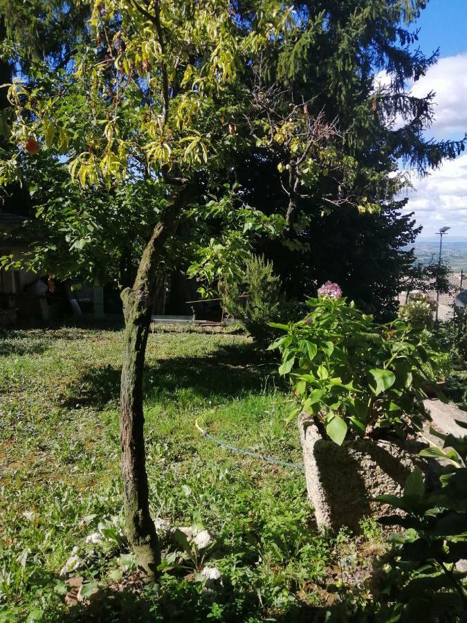 Orto Di Emma Appartement San Gimignano Buitenkant foto
